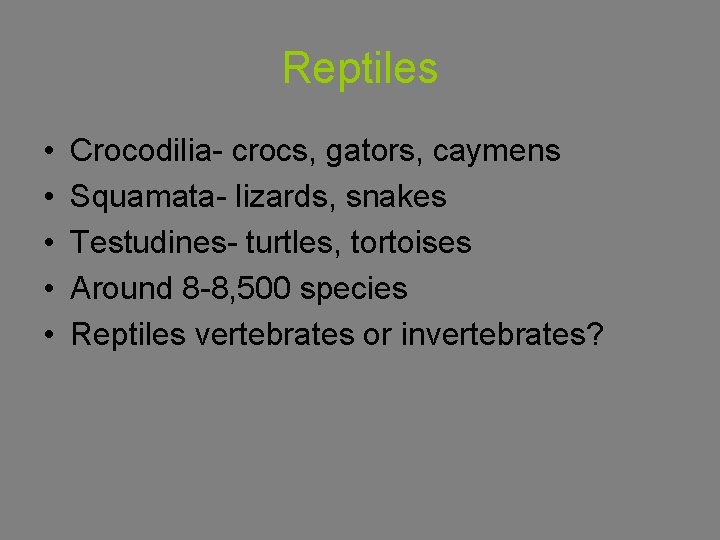 Reptiles • • • Crocodilia- crocs, gators, caymens Squamata- lizards, snakes Testudines- turtles, tortoises