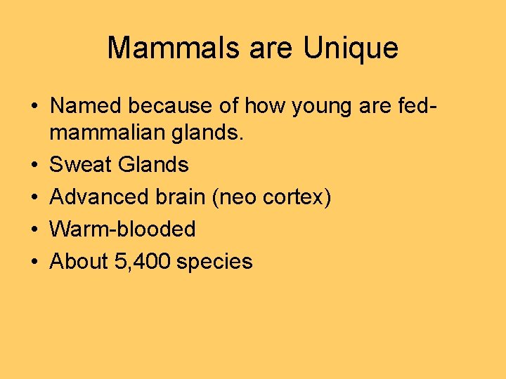 Mammals are Unique • Named because of how young are fedmammalian glands. • Sweat