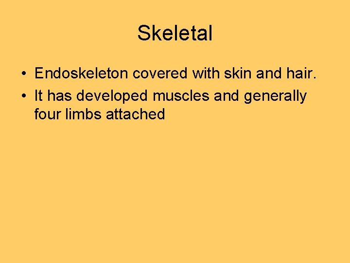 Skeletal • Endoskeleton covered with skin and hair. • It has developed muscles and