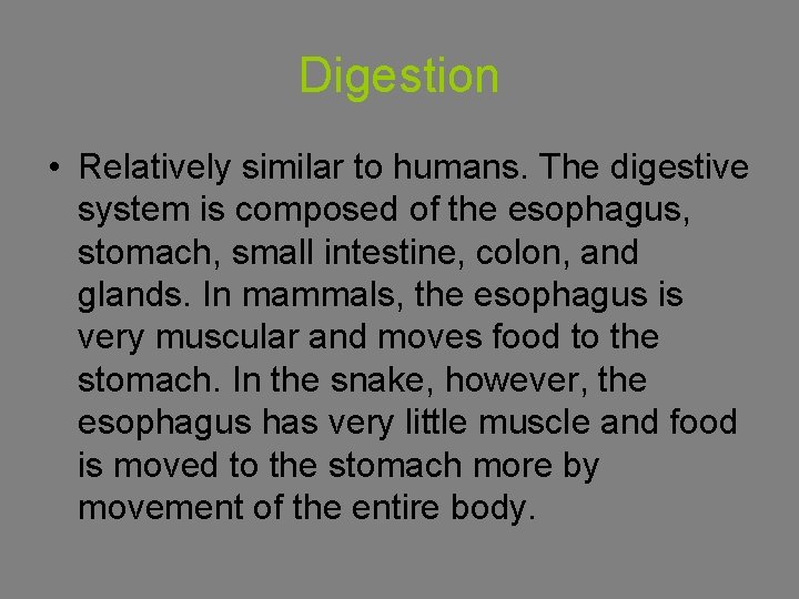 Digestion • Relatively similar to humans. The digestive system is composed of the esophagus,