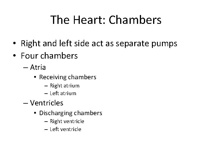 The Heart: Chambers • Right and left side act as separate pumps • Four