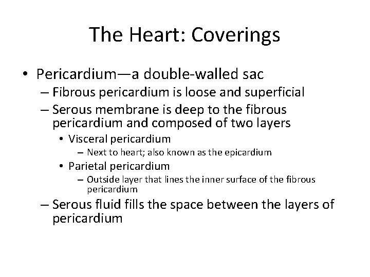 The Heart: Coverings • Pericardium—a double-walled sac – Fibrous pericardium is loose and superficial