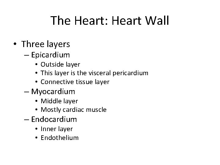 The Heart: Heart Wall • Three layers – Epicardium • Outside layer • This