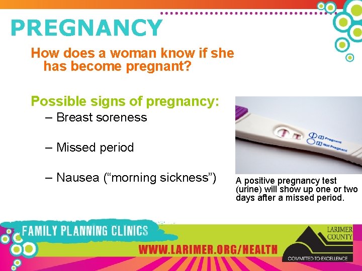 PREGNANCY How does a woman know if she has become pregnant? Possible signs of