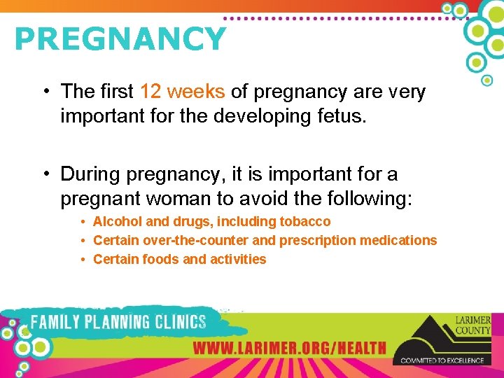 PREGNANCY • The first 12 weeks of pregnancy are very important for the developing