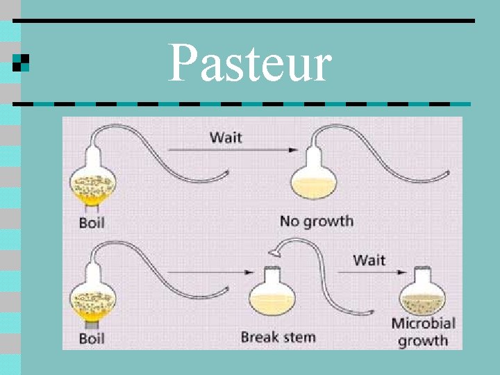 Pasteur 