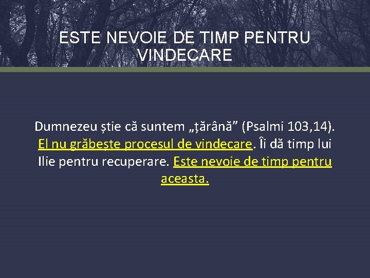 ESTE NEVOIE DE TIMP PENTRU VINDECARE Dumnezeu știe că suntem „țărână” (Psalmi 103, 14).