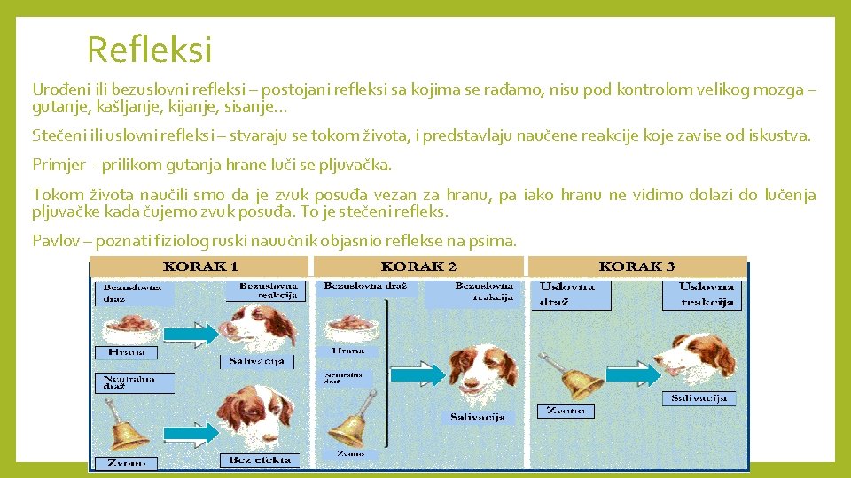 Refleksi Urođeni ili bezuslovni refleksi – postojani refleksi sa kojima se rađamo, nisu pod