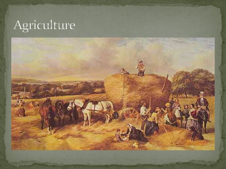 Agriculture 