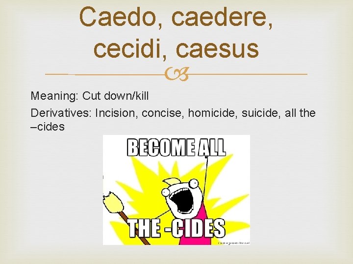 Caedo, caedere, cecidi, caesus Meaning: Cut down/kill Derivatives: Incision, concise, homicide, suicide, all the