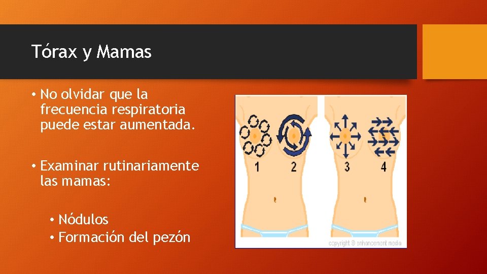 Tórax y Mamas • No olvidar que la frecuencia respiratoria puede estar aumentada. •