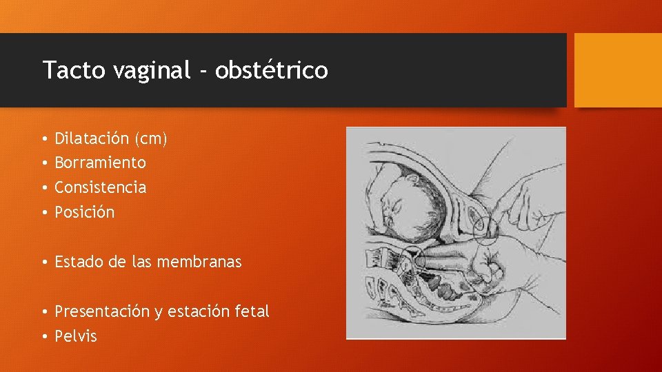 Tacto vaginal - obstétrico • • Dilatación (cm) Borramiento Consistencia Posición • Estado de