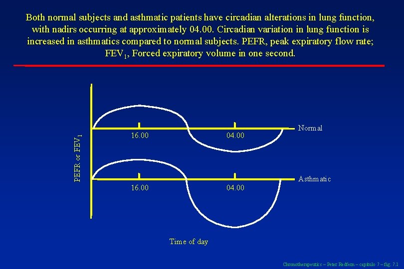 PEFR or FEV 1 Both normal subjects and asthmatic patients have circadian alterations in