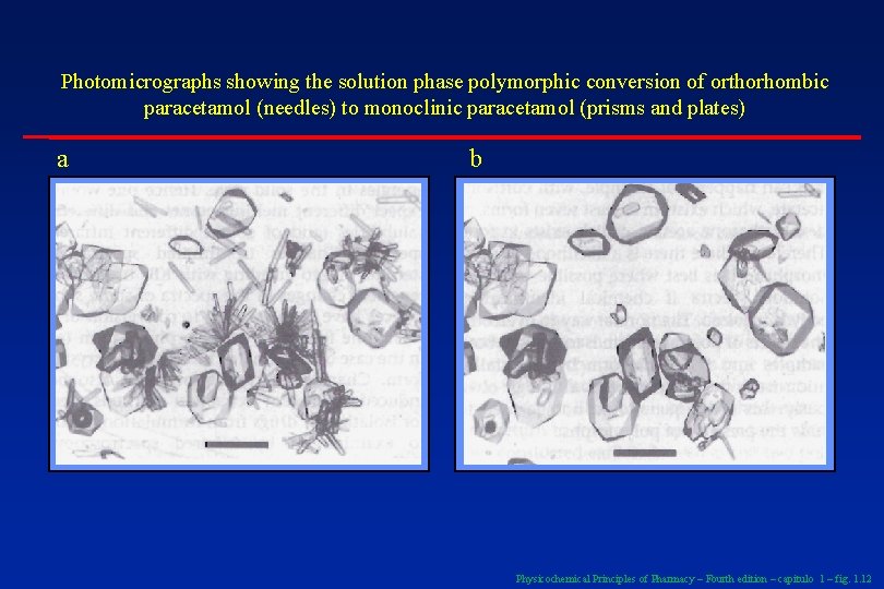 Photomicrographs showing the solution phase polymorphic conversion of orthorhombic paracetamol (needles) to monoclinic paracetamol