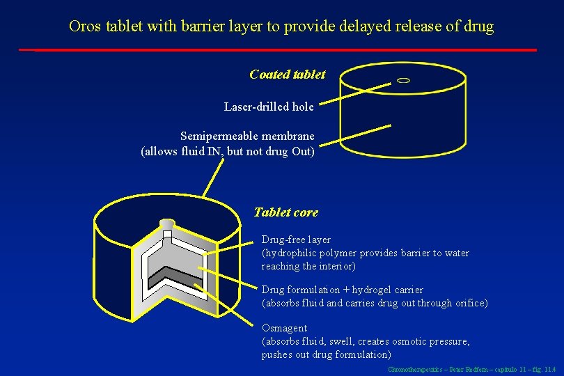 Oros tablet with barrier layer to provide delayed release of drug Coated tablet Laser-drilled