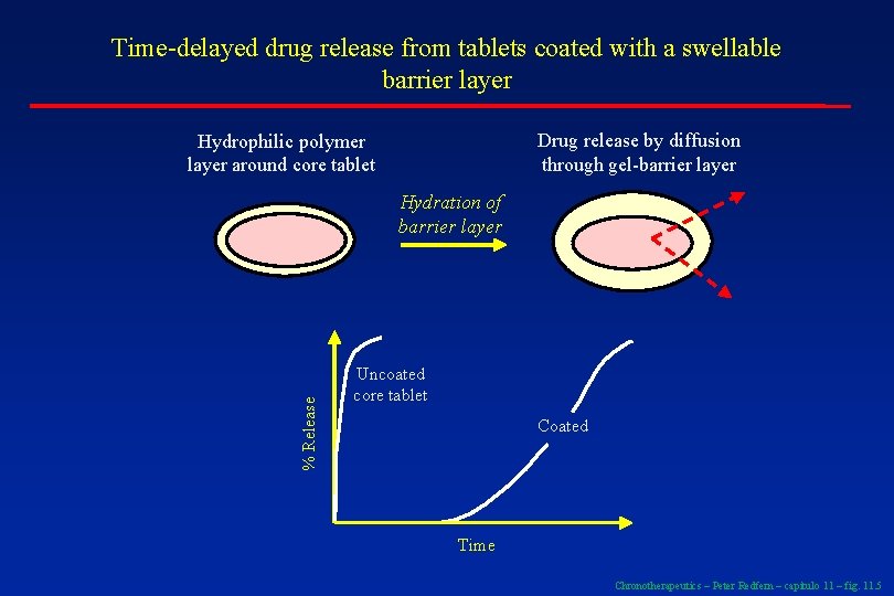 Time-delayed drug release from tablets coated with a swellable barrier layer Drug release by