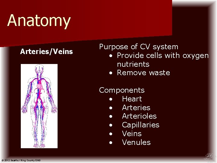 Anatomy Arteries/Veins Purpose of CV system • Provide cells with oxygen nutrients • Remove