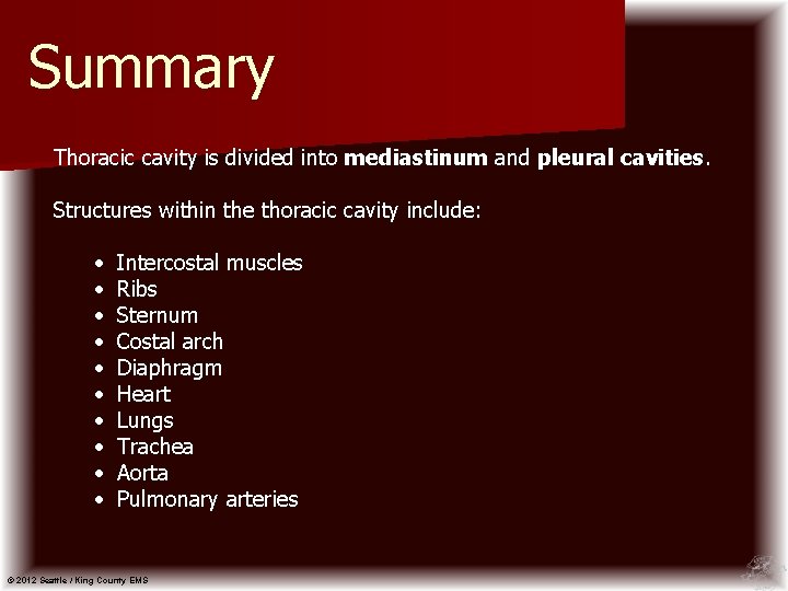 Summary Thoracic cavity is divided into mediastinum and pleural cavities. Structures within the thoracic