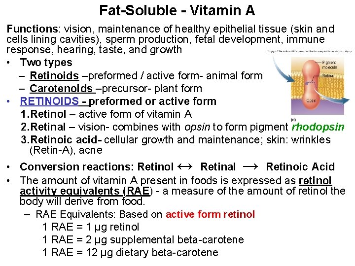 Fat-Soluble - Vitamin A Functions: vision, maintenance of healthy epithelial tissue (skin and cells