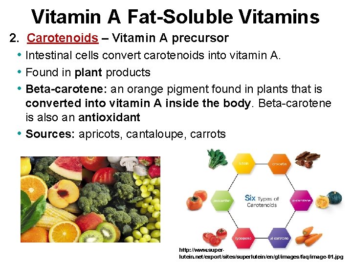 Vitamin A Fat-Soluble Vitamins 2. Carotenoids – Vitamin A precursor • Intestinal cells convert