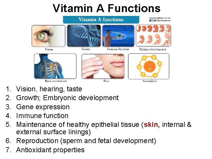 Vitamin A Functions 1. 2. 3. 4. 5. Vision, hearing, taste Growth; Embryonic development