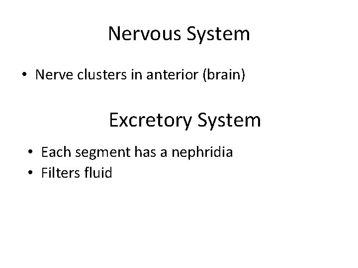 Nervous System • Nerve clusters in anterior (brain) Excretory System • Each segment has