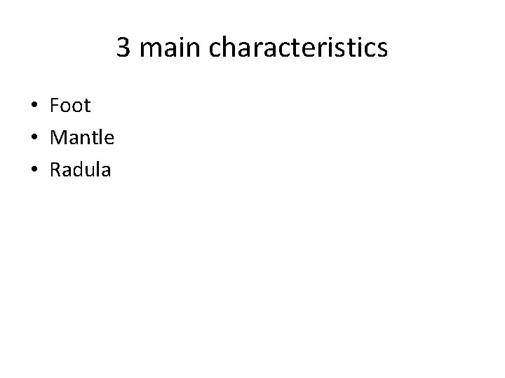 3 main characteristics • Foot • Mantle • Radula 