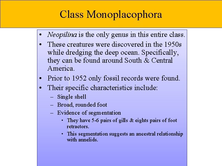 Class Monoplacophora • Neopilina is the only genus in this entire class. • These