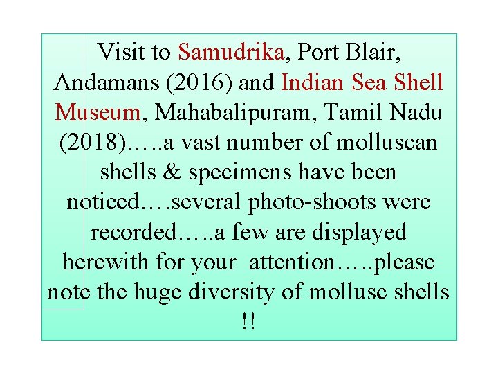 Visit to Samudrika, Port Blair, Andamans (2016) and Indian Sea Shell Museum, Mahabalipuram, Tamil