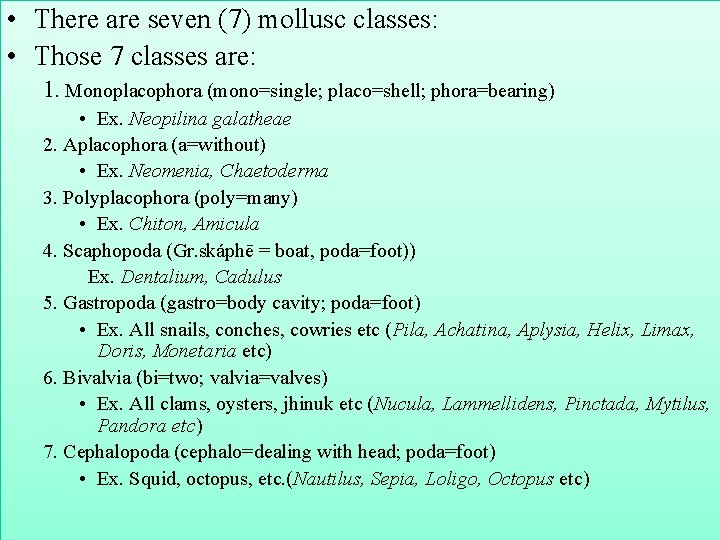  • There are seven (7) mollusc classes: • Those 7 classes are: 1.