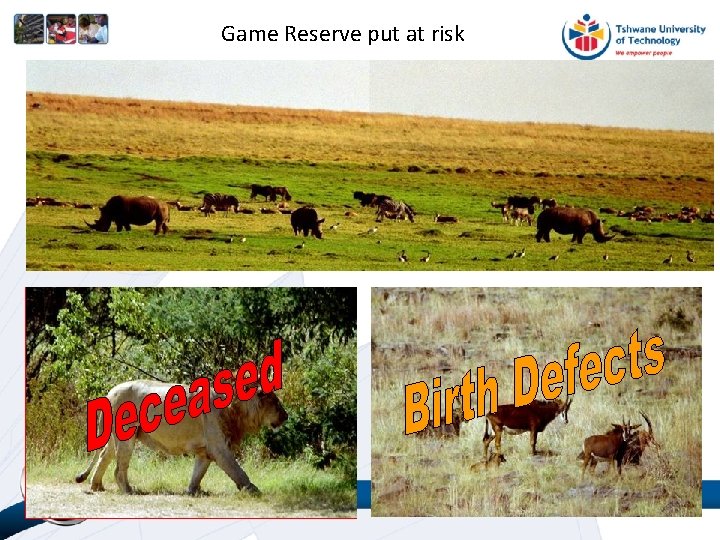 Game Reserve put at risk 