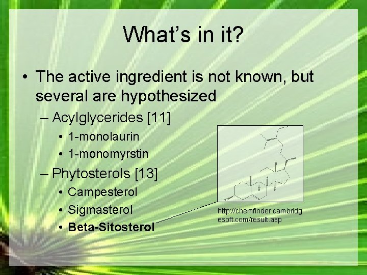 What’s in it? • The active ingredient is not known, but several are hypothesized