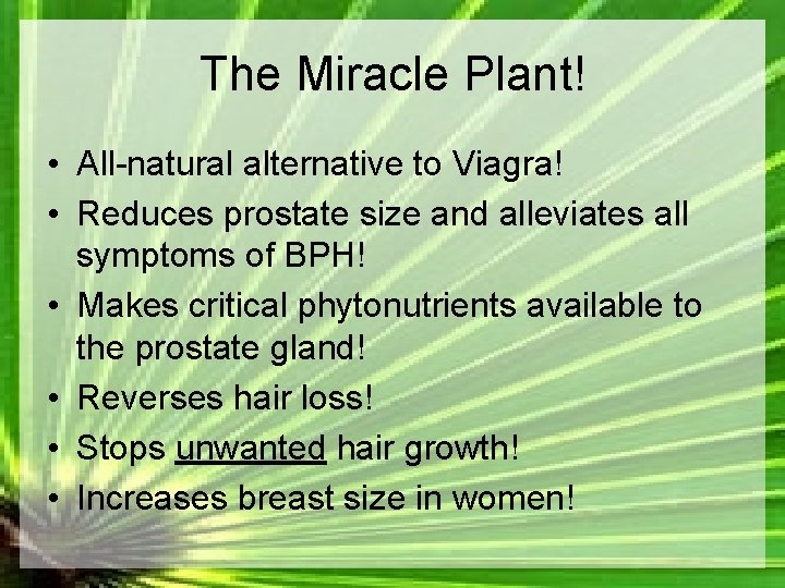 The Miracle Plant! • All-natural alternative to Viagra! • Reduces prostate size and alleviates
