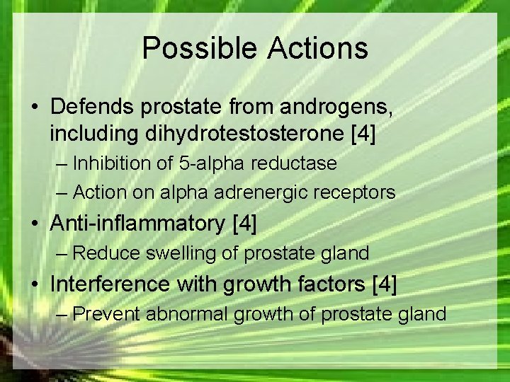 Possible Actions • Defends prostate from androgens, including dihydrotestosterone [4] – Inhibition of 5