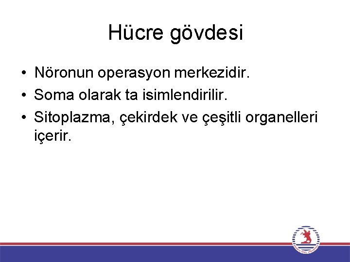 Hücre gövdesi • Nöronun operasyon merkezidir. • Soma olarak ta isimlendirilir. • Sitoplazma, çekirdek