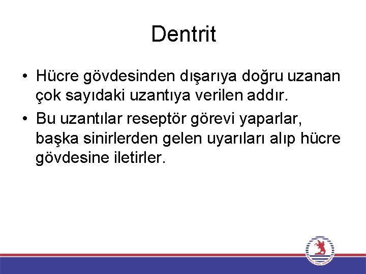 Dentrit • Hücre gövdesinden dışarıya doğru uzanan çok sayıdaki uzantıya verilen addır. • Bu