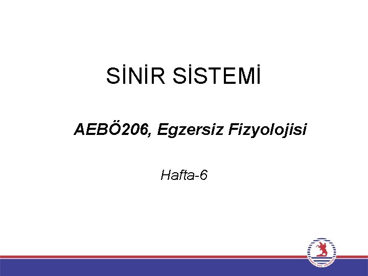 SİNİR SİSTEMİ AEBÖ 206, Egzersiz Fizyolojisi Hafta-6 