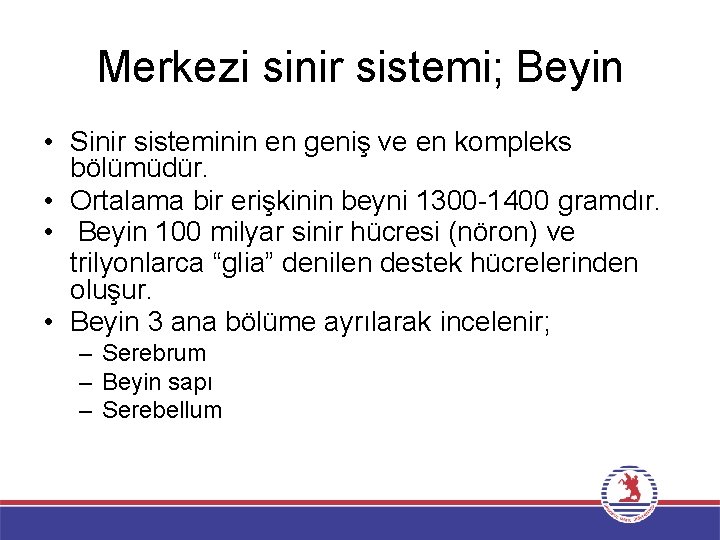 Merkezi sinir sistemi; Beyin • Sinir sisteminin en geniş ve en kompleks bölümüdür. •