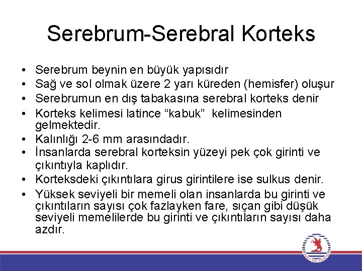 Serebrum-Serebral Korteks • • Serebrum beynin en büyük yapısıdır Sağ ve sol olmak üzere