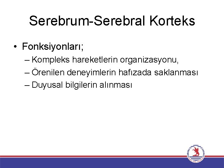 Serebrum-Serebral Korteks • Fonksiyonları; – Kompleks hareketlerin organizasyonu, – Örenilen deneyimlerin hafızada saklanması –