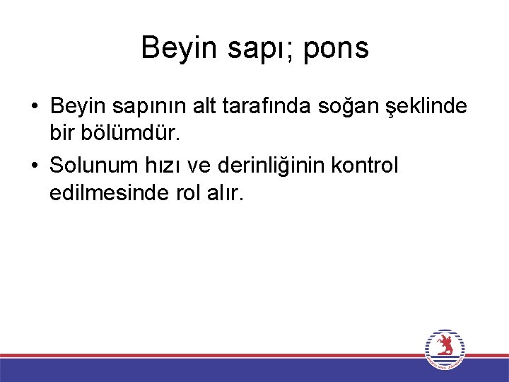 Beyin sapı; pons • Beyin sapının alt tarafında soğan şeklinde bir bölümdür. • Solunum