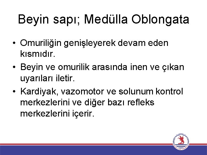 Beyin sapı; Medülla Oblongata • Omuriliğin genişleyerek devam eden kısmıdır. • Beyin ve omurilik