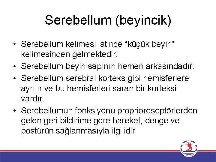 Serebellum (beyincik) • Serebellum kelimesi latince “küçük beyin” kelimesinden gelmektedir. • Serebellum beyin sapının