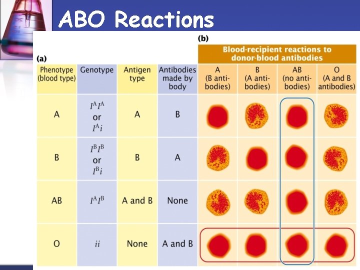 ABO Reactions 