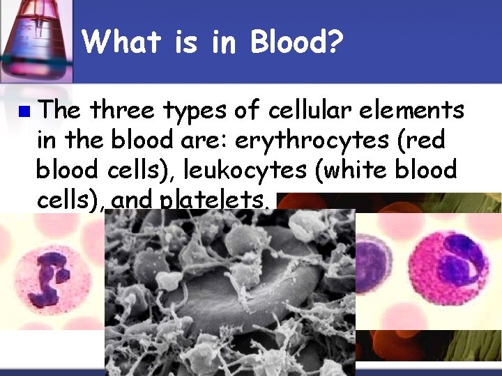 What is in Blood? n The three types of cellular elements in the blood