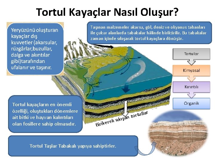 Tortul Kayaçlar Nasıl Oluşur? Taşınan malzemeler akarsu, göl, deniz ve okyanus tabanları ile çukur