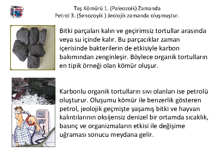 Taş Kömürü 1. (Paleozoik) Zamanda Petrol 3. (Senozoyik ) Jeolojik zamanda oluşmuştur. Bitki parçaları