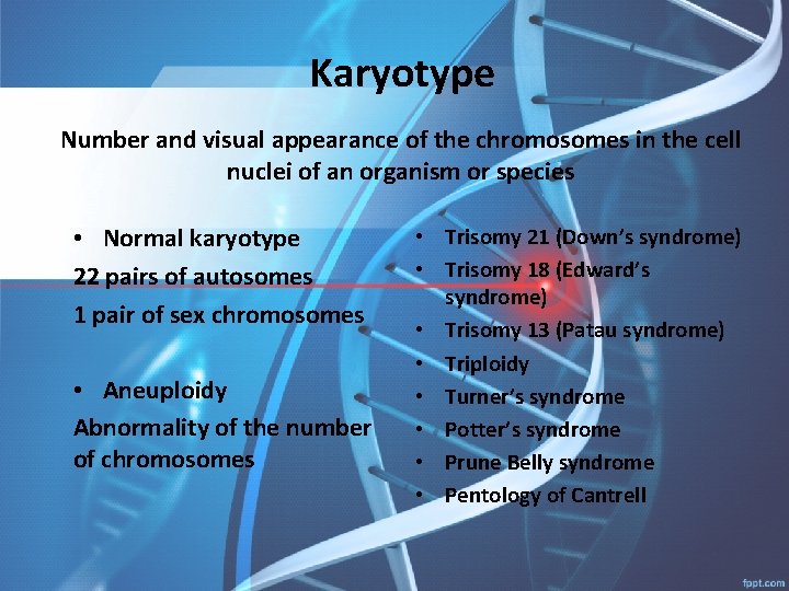 Karyotype Number and visual appearance of the chromosomes in the cell nuclei of an