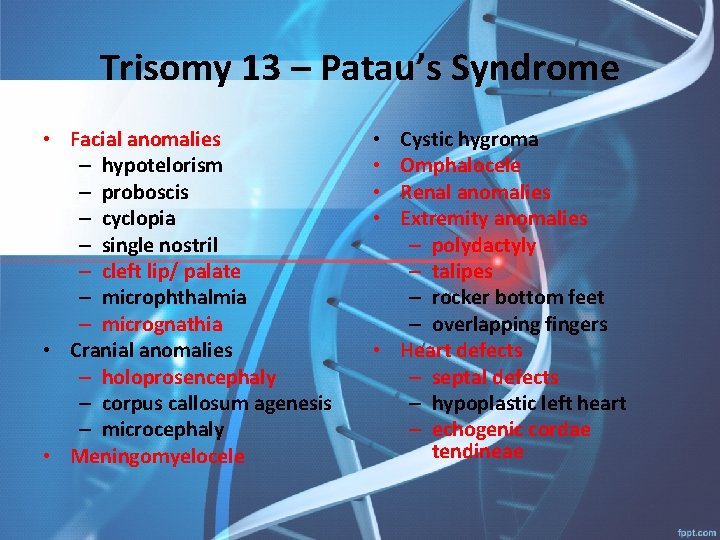 Trisomy 13 – Patau’s Syndrome • Facial anomalies – hypotelorism – proboscis – cyclopia
