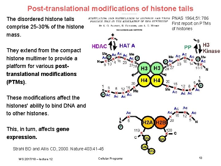 Post-translational modifications of histone tails The disordered histone tails comprise 25 -30% of the